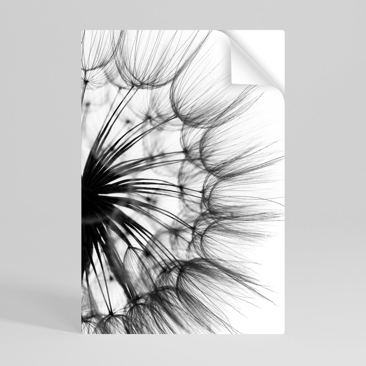 WHISPERING WILDFLOWER Poster Verticale Adesivo