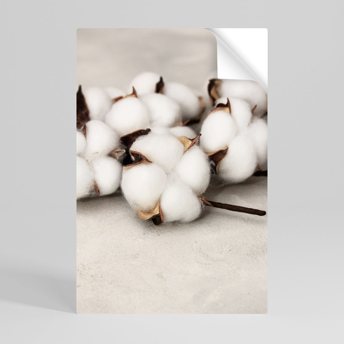 COTTON CLOUDS WHISPERS Poster Verticale Adesivo
