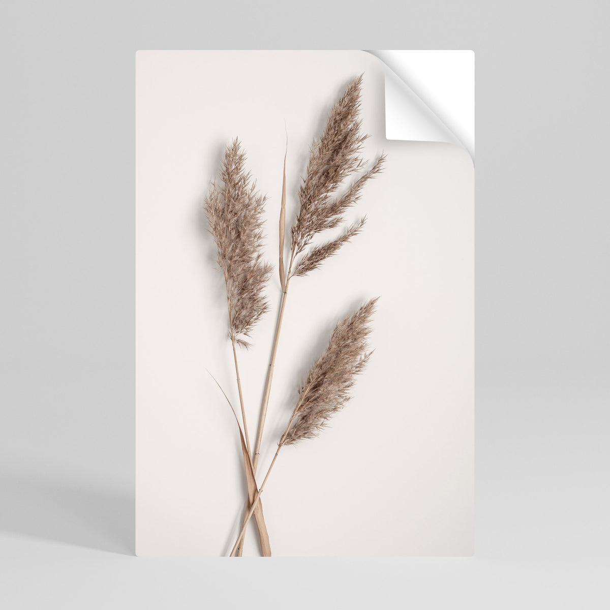 SOFT BREEZE MOMENT Poster Verticale Adesivo