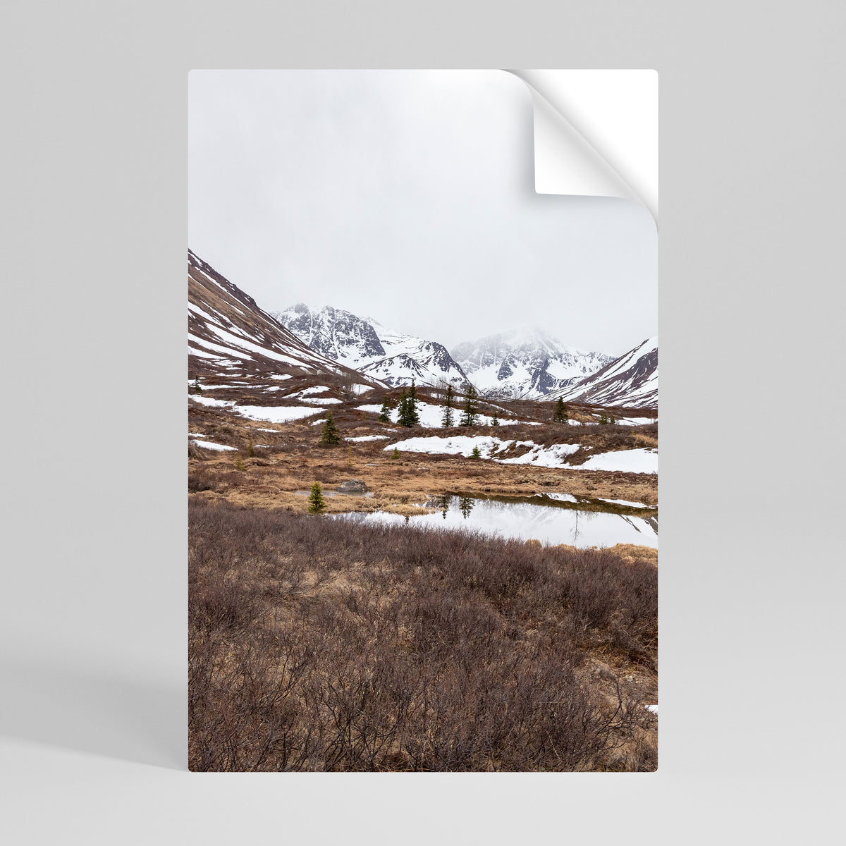 ECHOES OF WINTER Selbstklebendes Poster - Hochformat