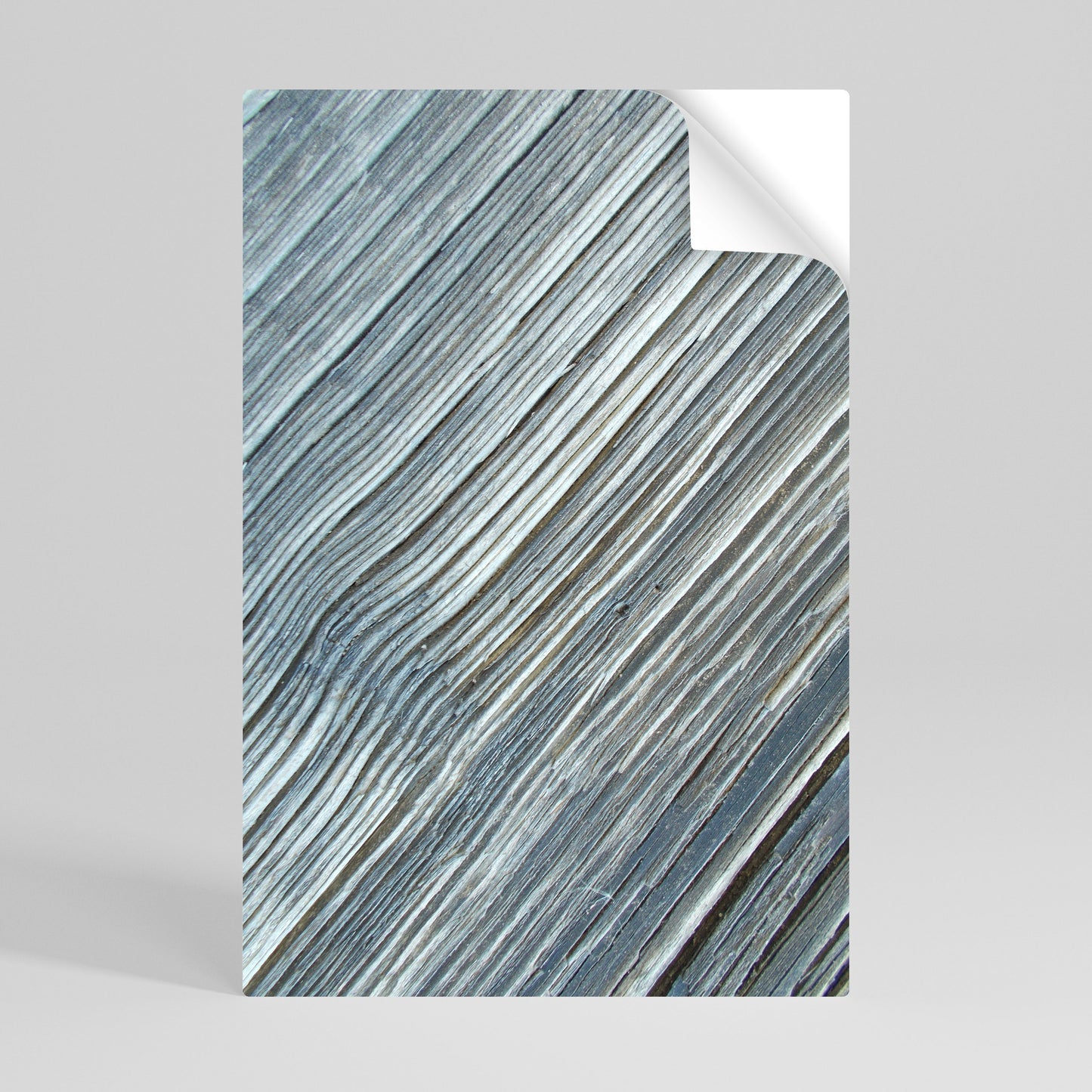NATURE’S RIBBON RELIC Selbstklebendes Poster - Hochformat