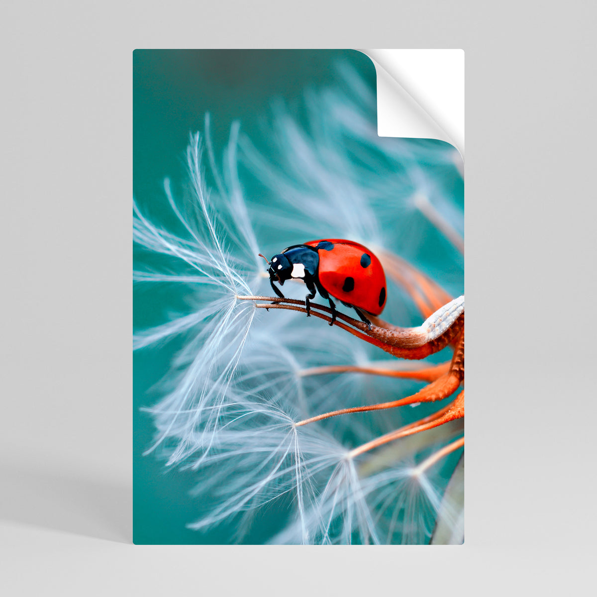 LADYBUG BALANCE Poster Verticale Adesivo