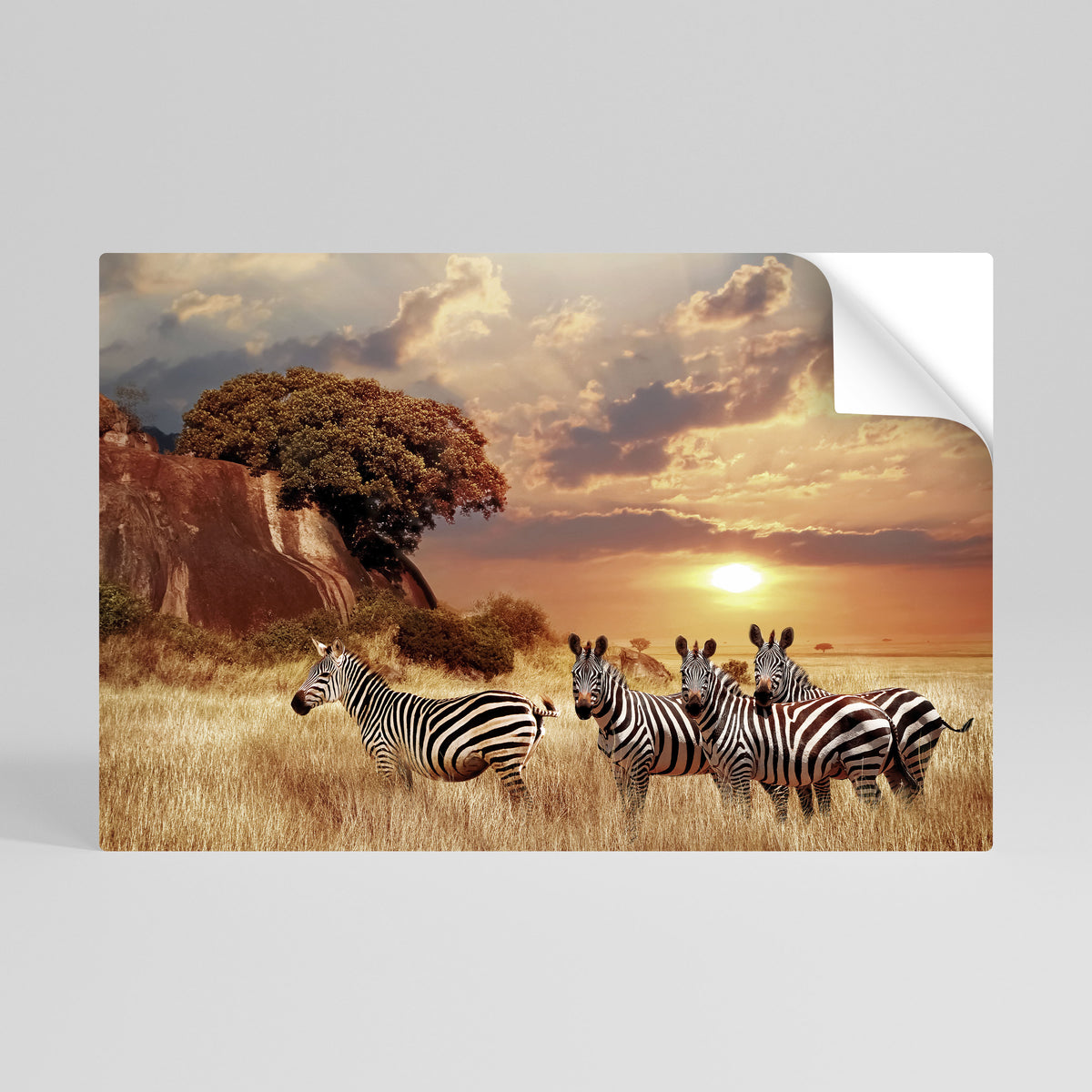 ZEBRA SUNSET SERENADE Poster Orizzontale Adesivo
