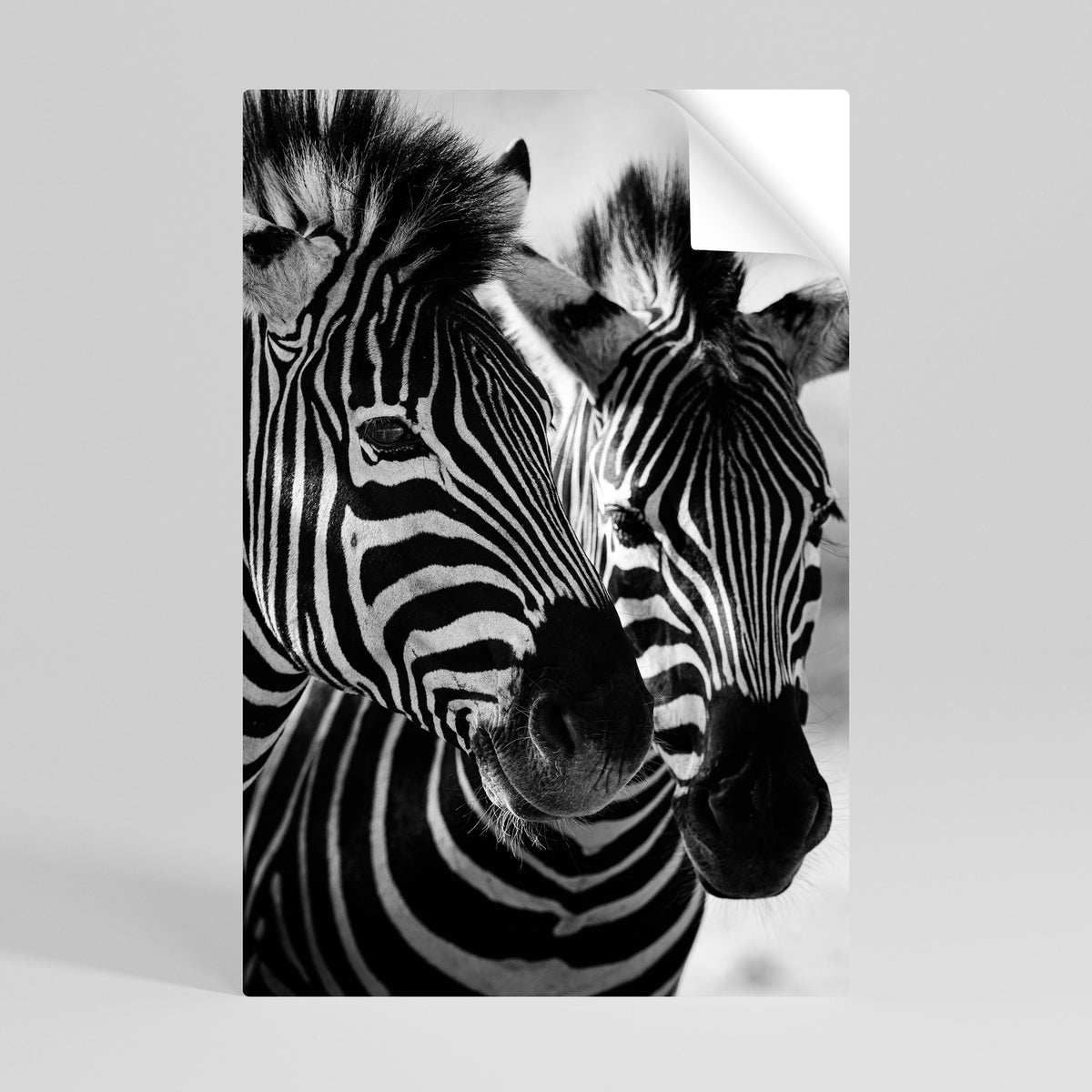 STRIPED SYMPHONY Poster Verticale Adesivo
