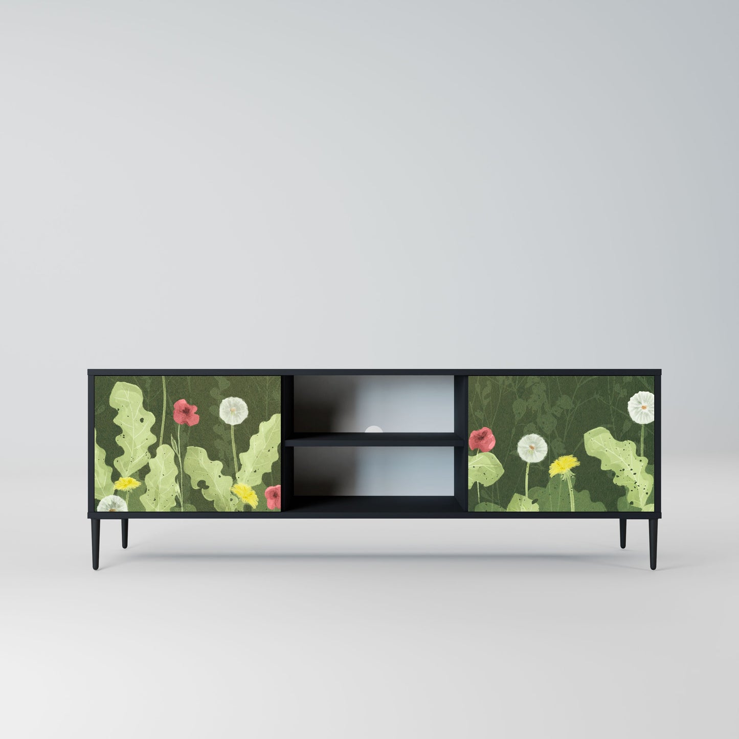 DANDELION AMUSE 2-Door TV Stand in Black Finish