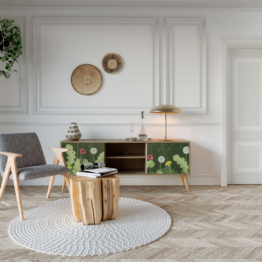 DANDELION AMUSE 2-Door TV Cabinet