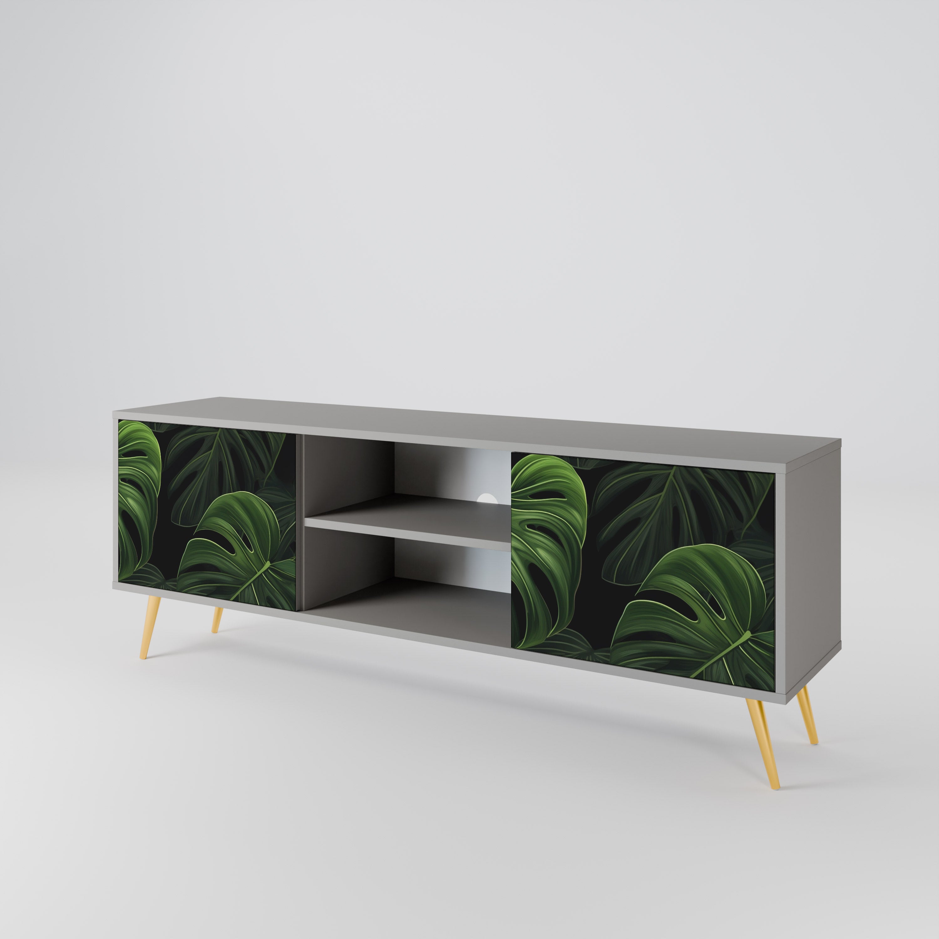 INFINITE MONSTERA 2-Door TV Cabinet