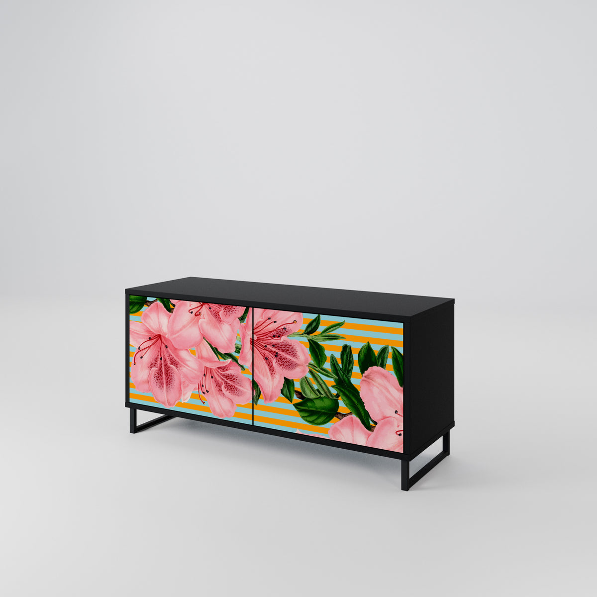 FRAGILE BEAUTY Compact 2-Door TV Cabinet