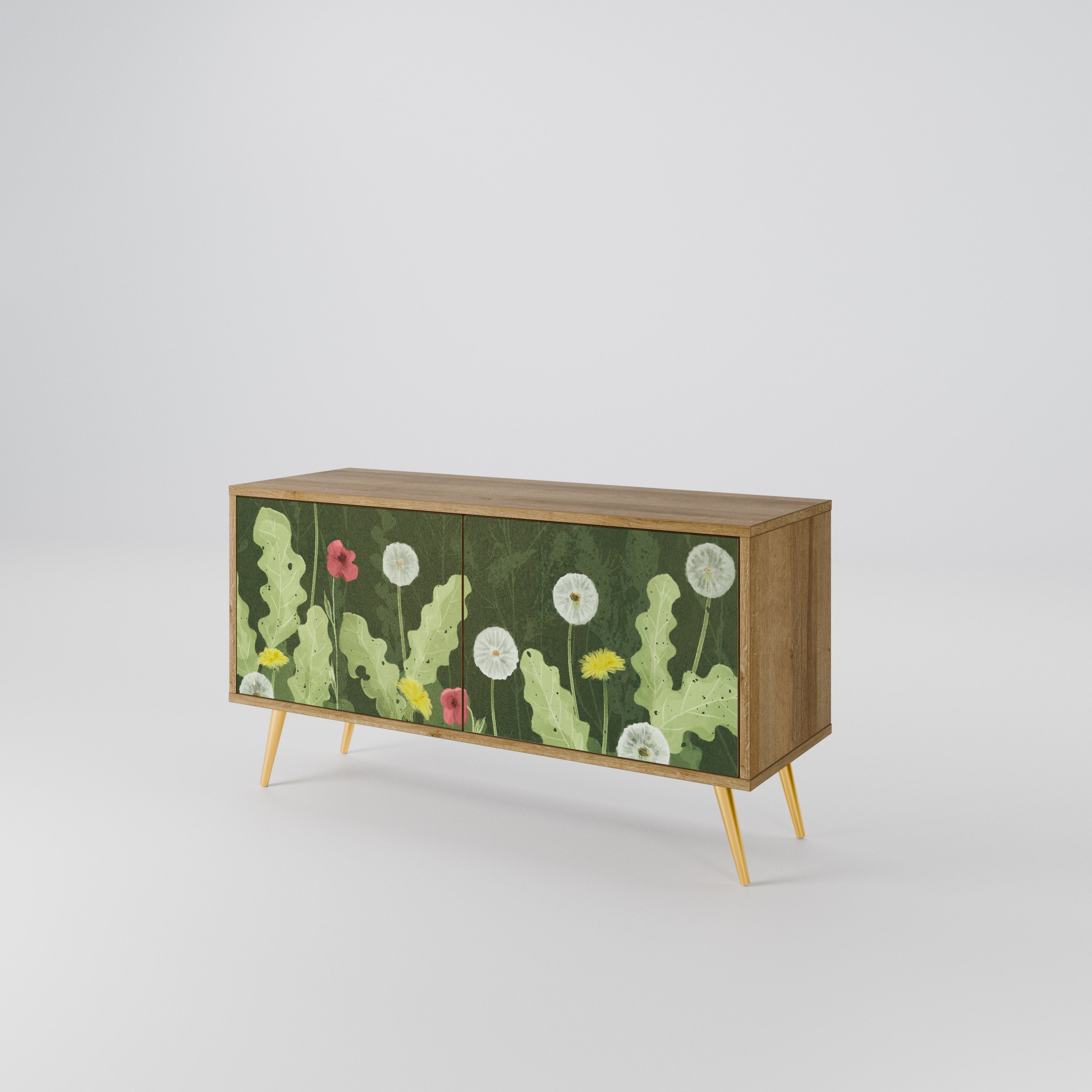 DANDELION AMUSE Compact 2-Door TV Cabinet