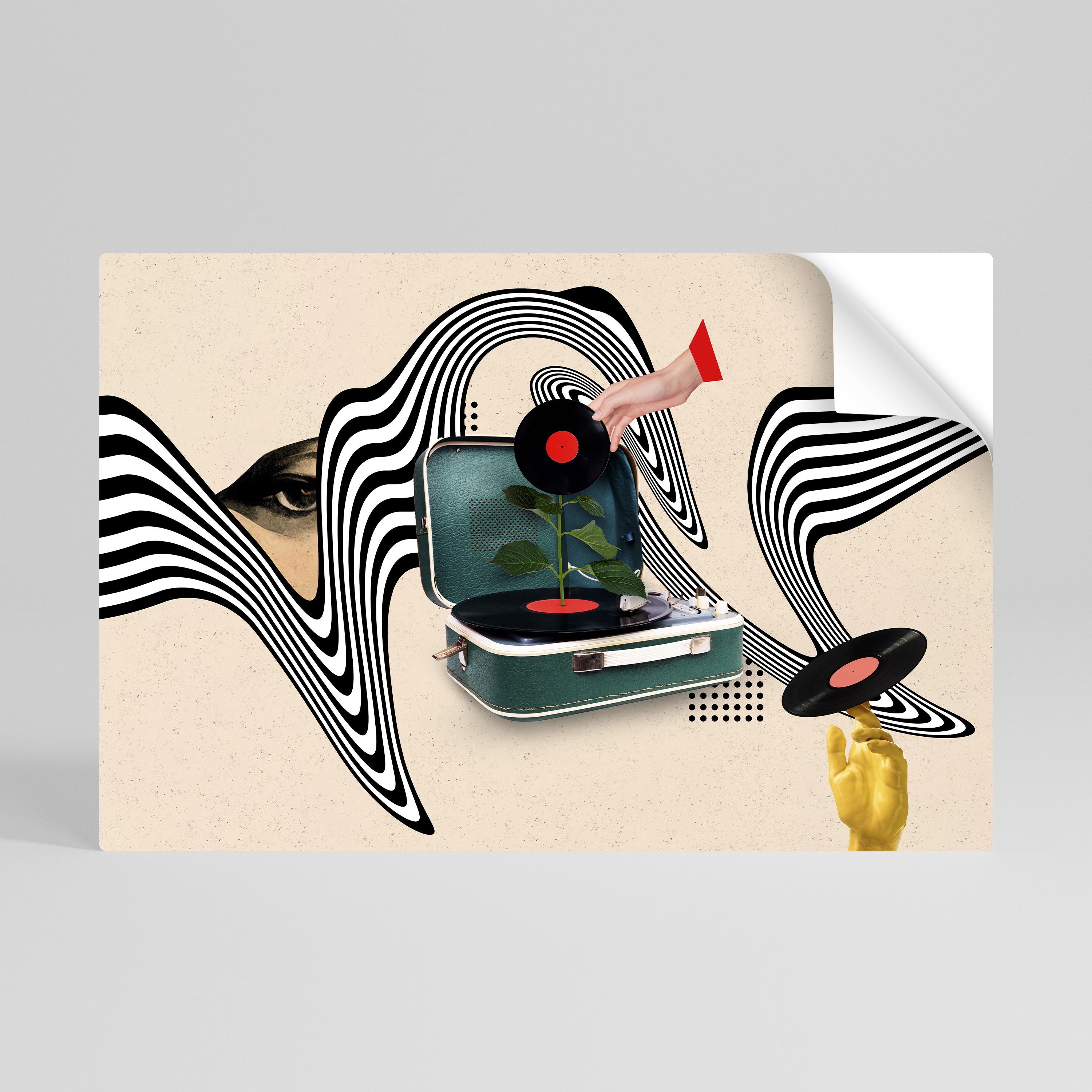 VINYL VARIATION Póster Autocolante Horizontal