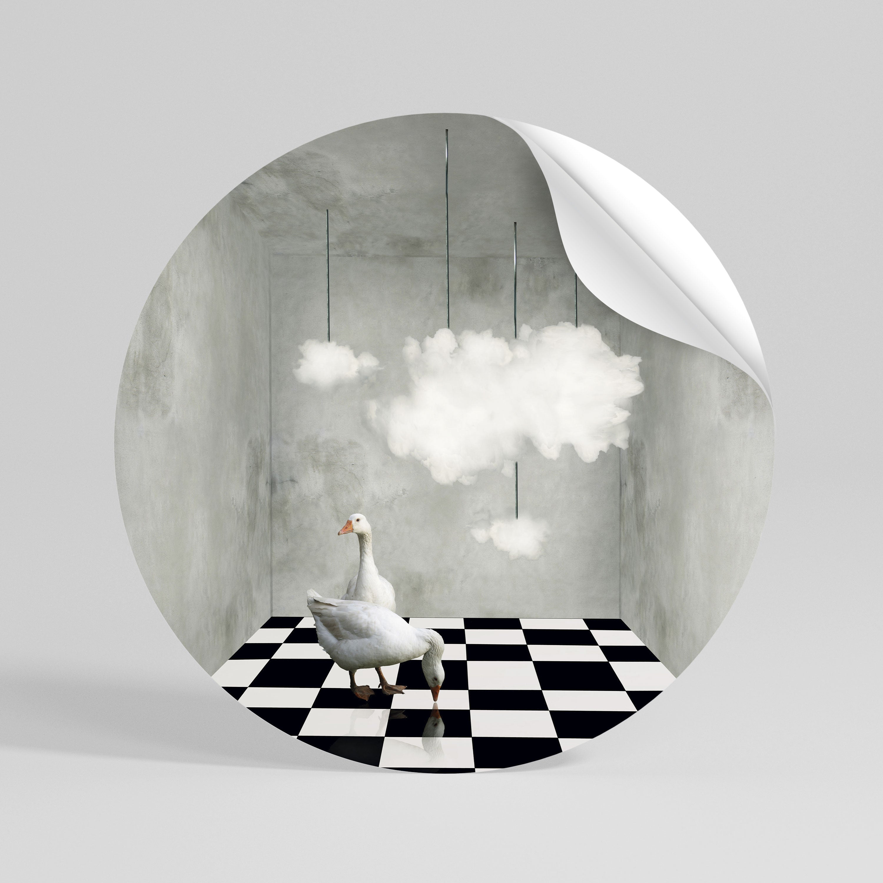 CHESS CLOUD SWAN Vinilo adhesivo redondo