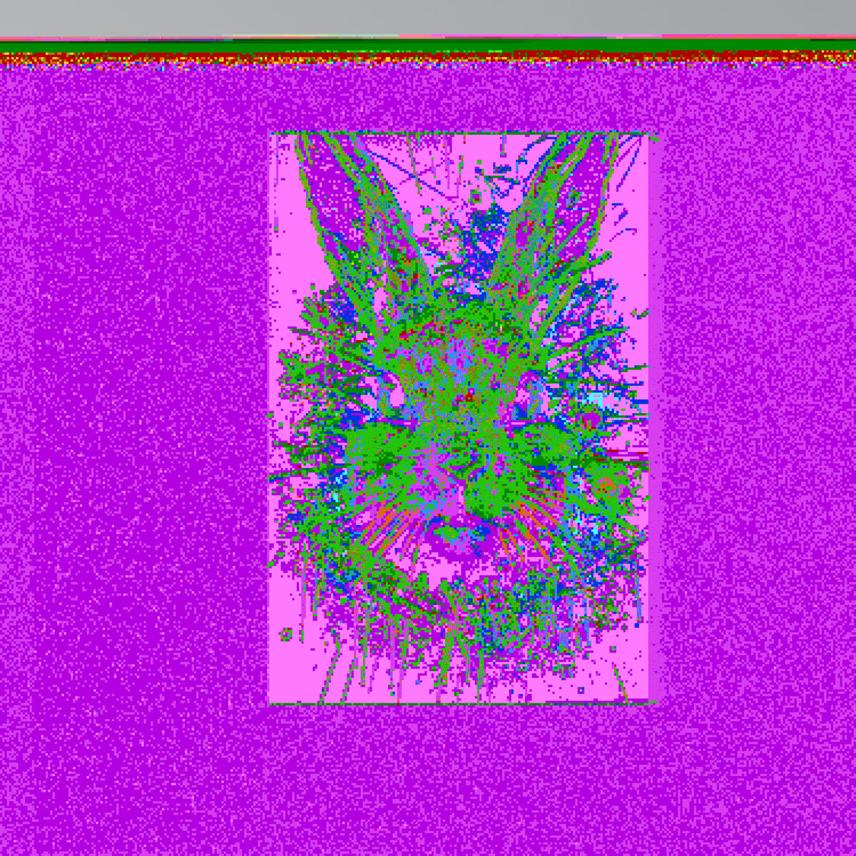 DON'T FOLLOW THE RABBIT Quadro em tela vertical