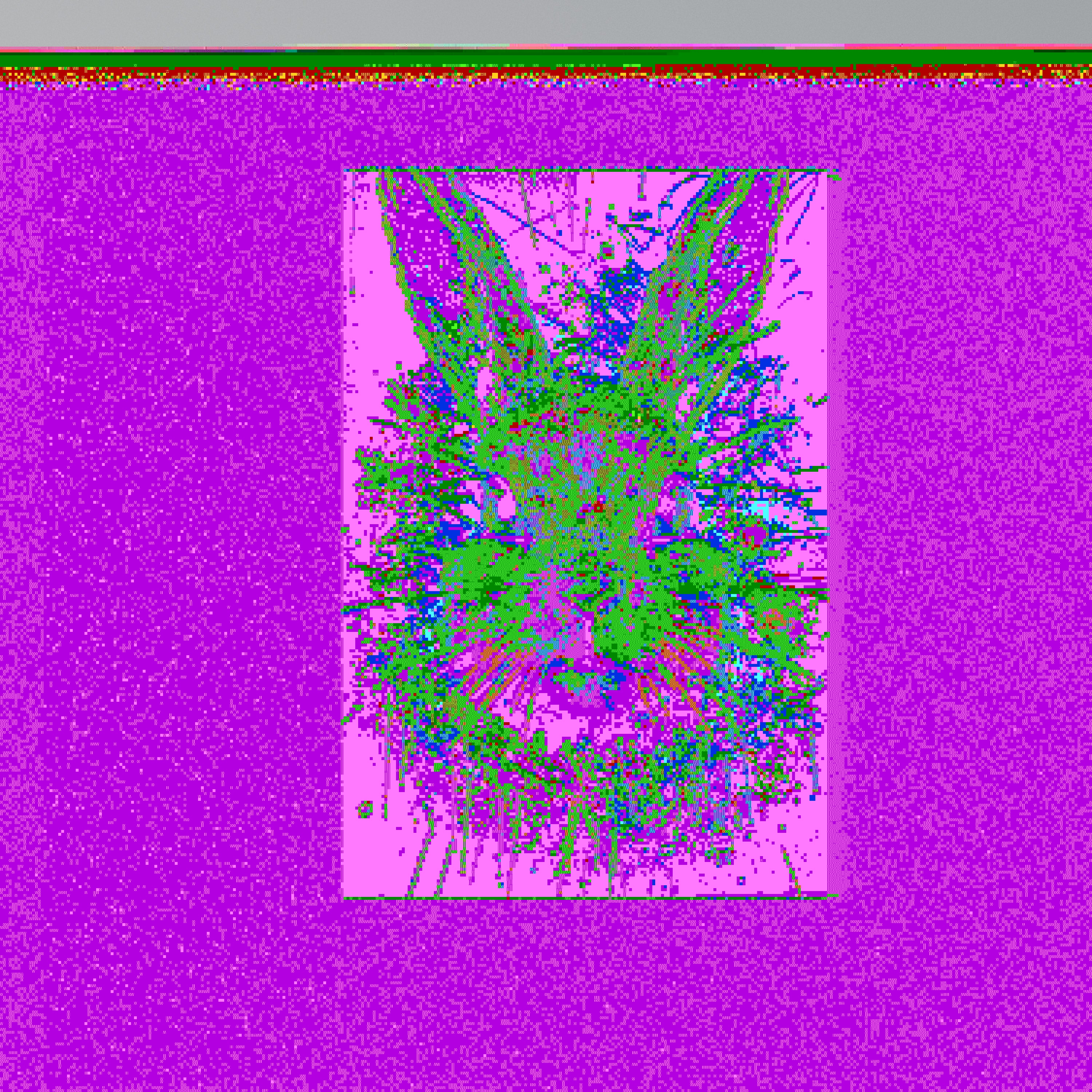 DON'T FOLLOW THE RABBIT Vertical Canvas Print