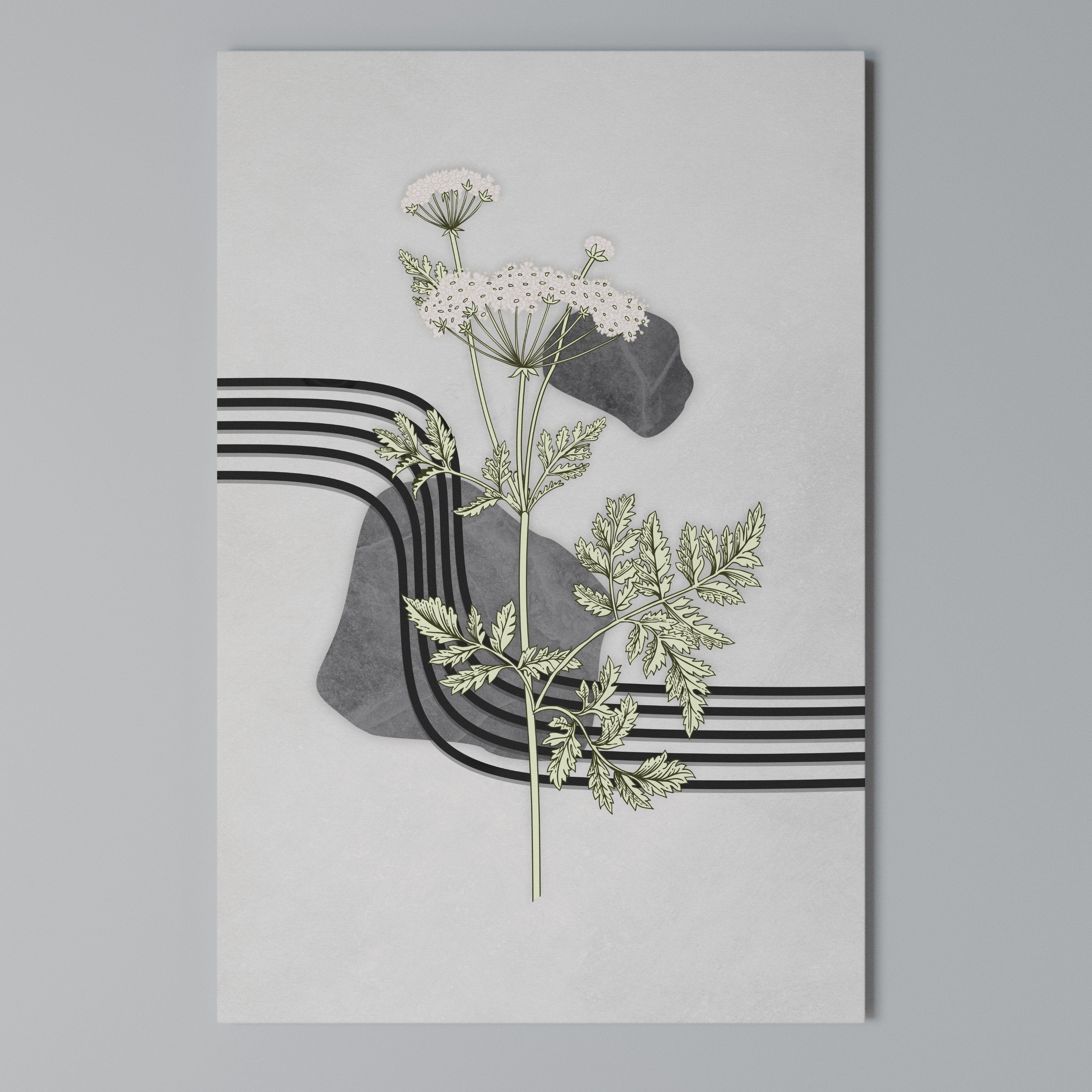 HERACLEUM ARRAY Quadro em tela vertical
