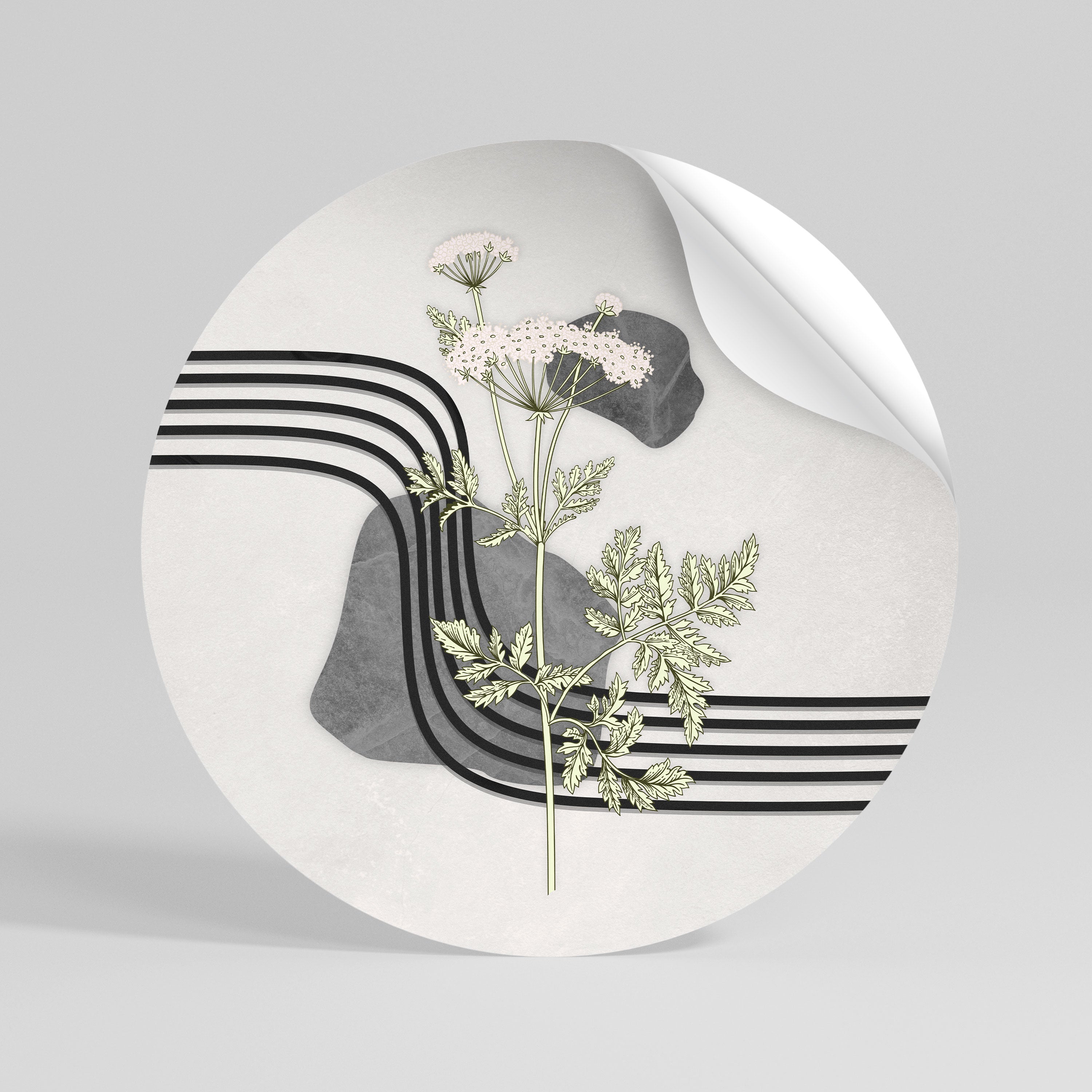 HERACLEUM ARRAY Rund väggdekal