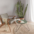 MATISSE NUDES Coffee Table