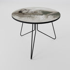 FROZEN IN TIME Coffee Table