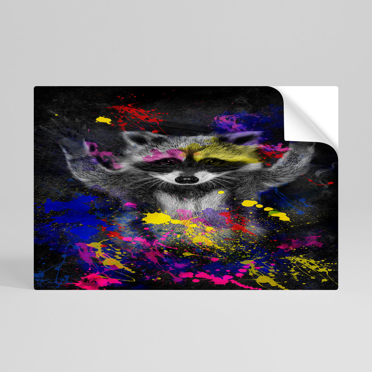 RACCOON ARTISTRY Poster Orizzontale Adesivo