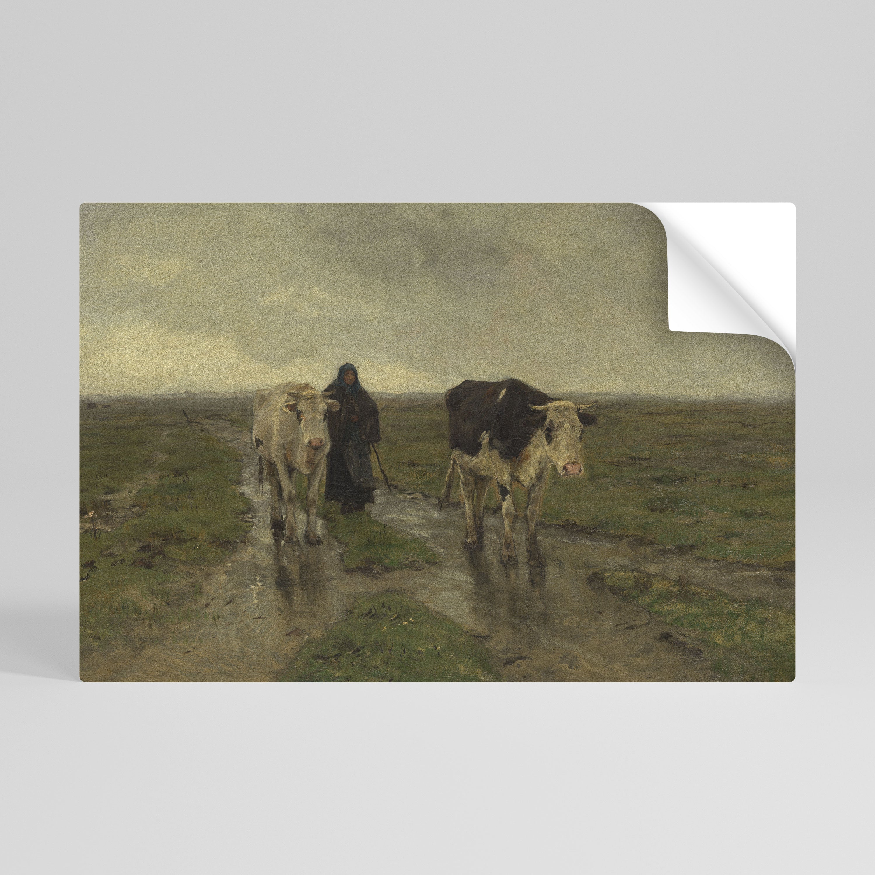 RAINY REFLECTIONS Selbstklebendes Horizontal-Poster