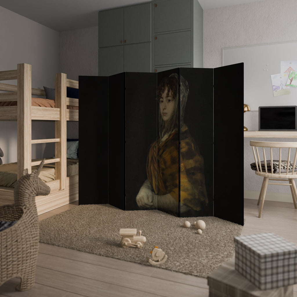 WHISPERS OF HISTORY Rumsavdelare 6 paneler