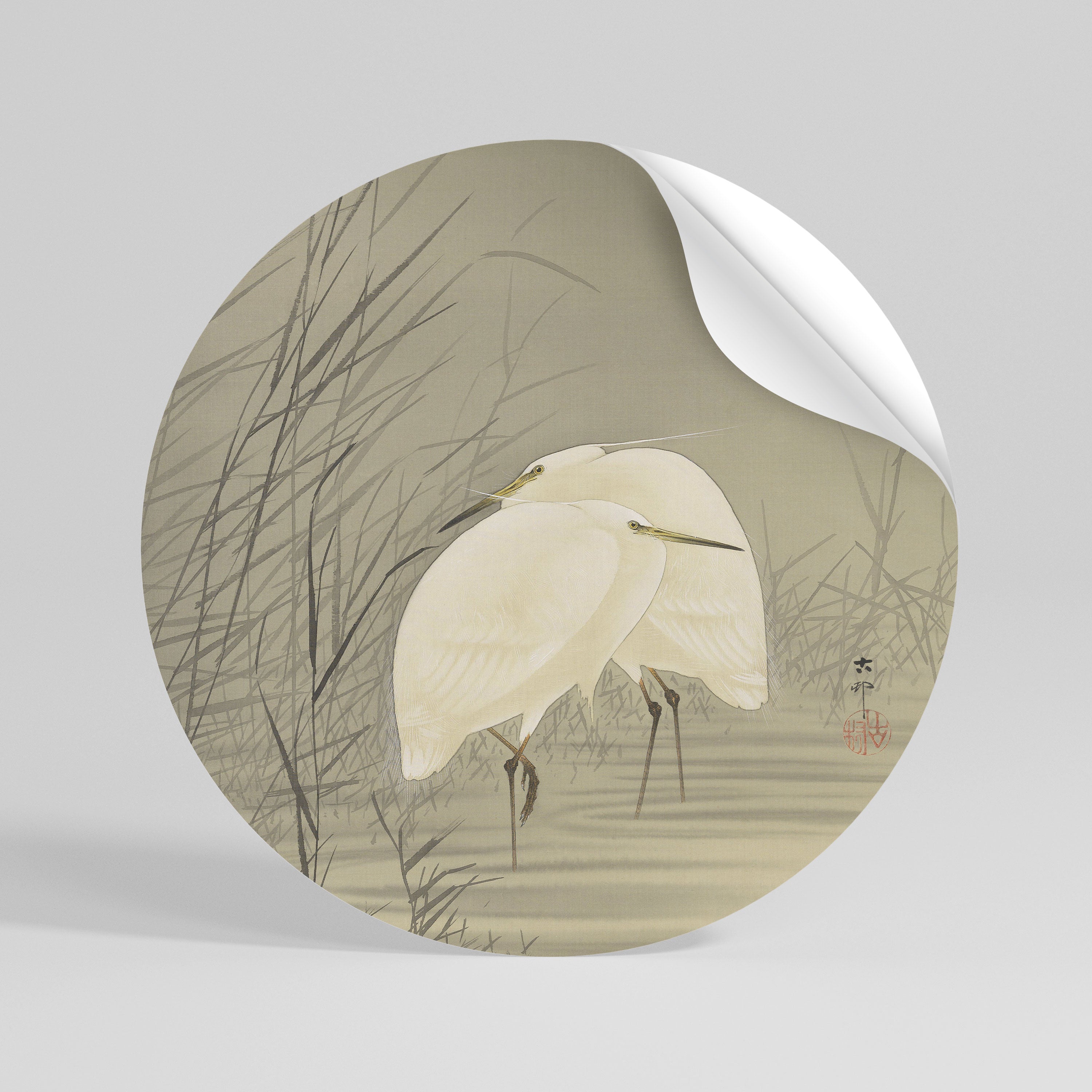 ZILVERREIGERS IN MOERAS Adesivo rotondo riposizionabile