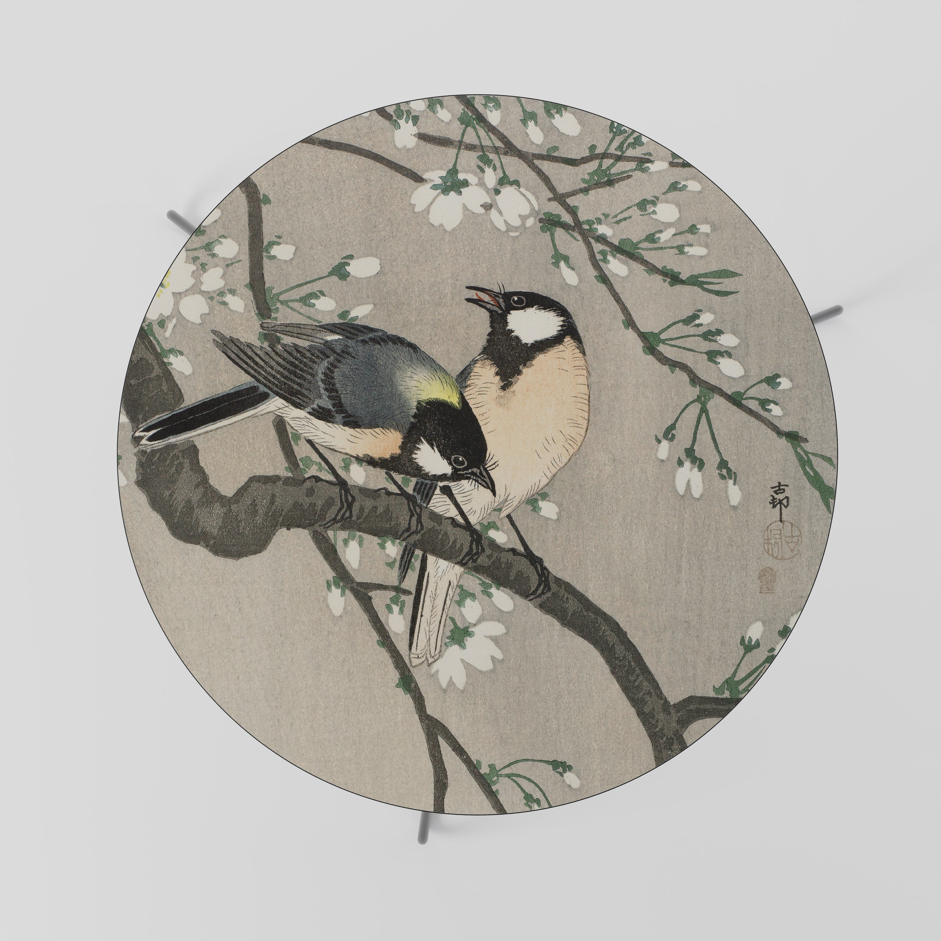 TITS ON CHERRY BRANCH Mesa de Centro