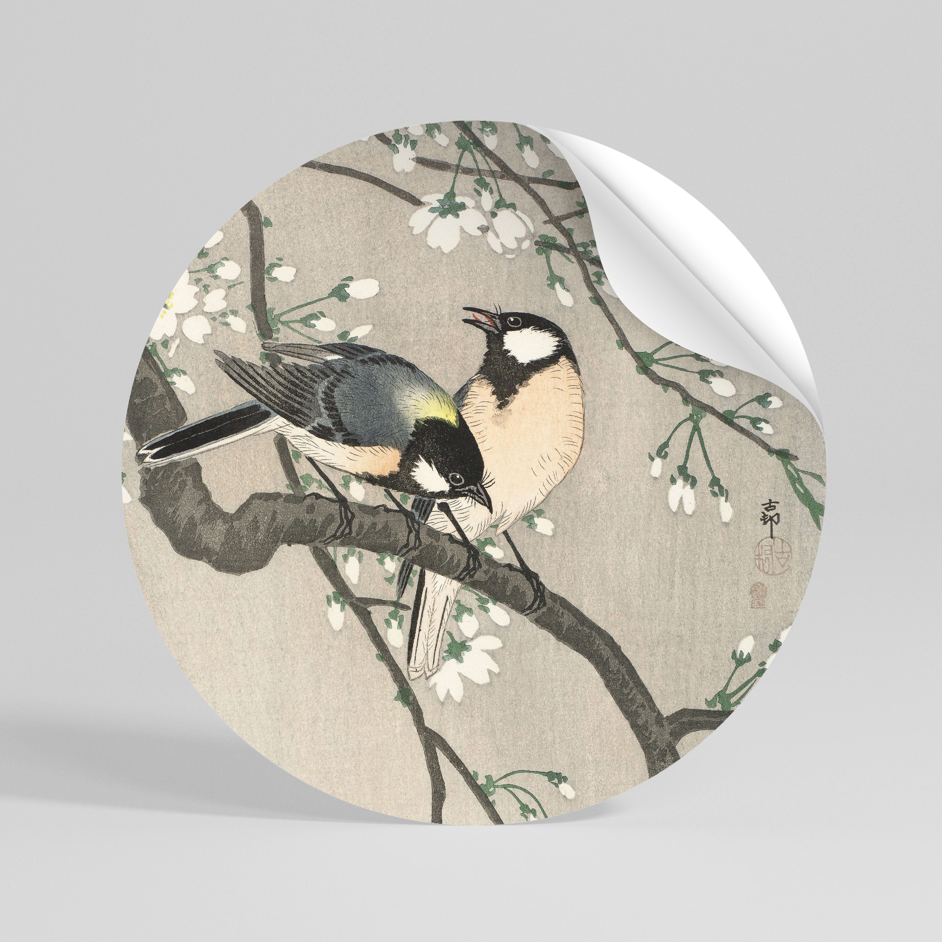 TITS ON CHERRY BRANCH Adesivo rotondo riposizionabile