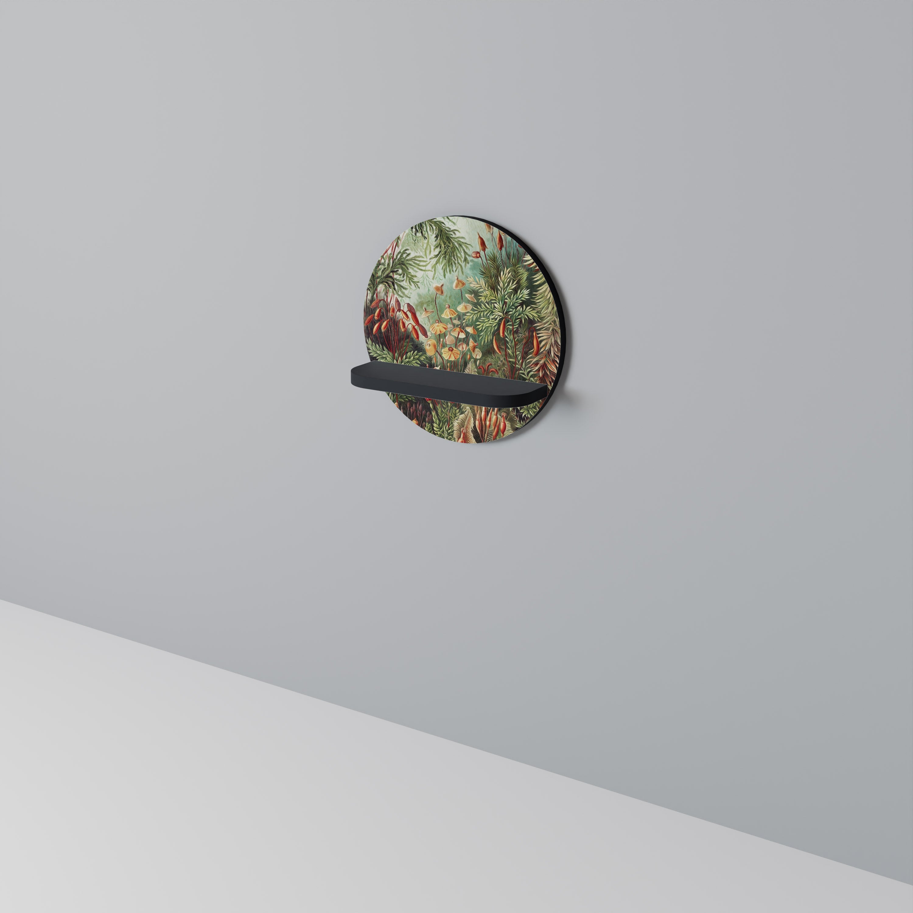 MUSCINAE LAUBMOOSE Art Shelf