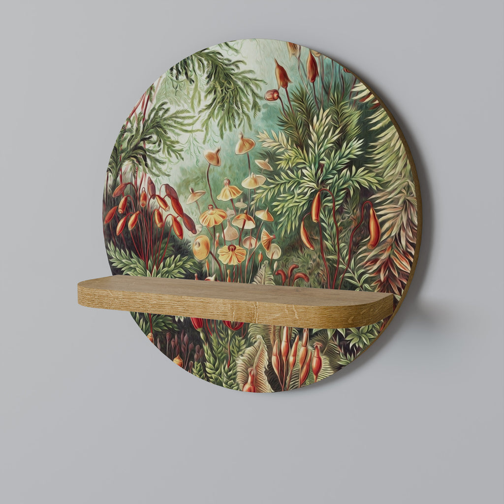 MUSCINAE LAUBMOOSE Decorative Art Shelf