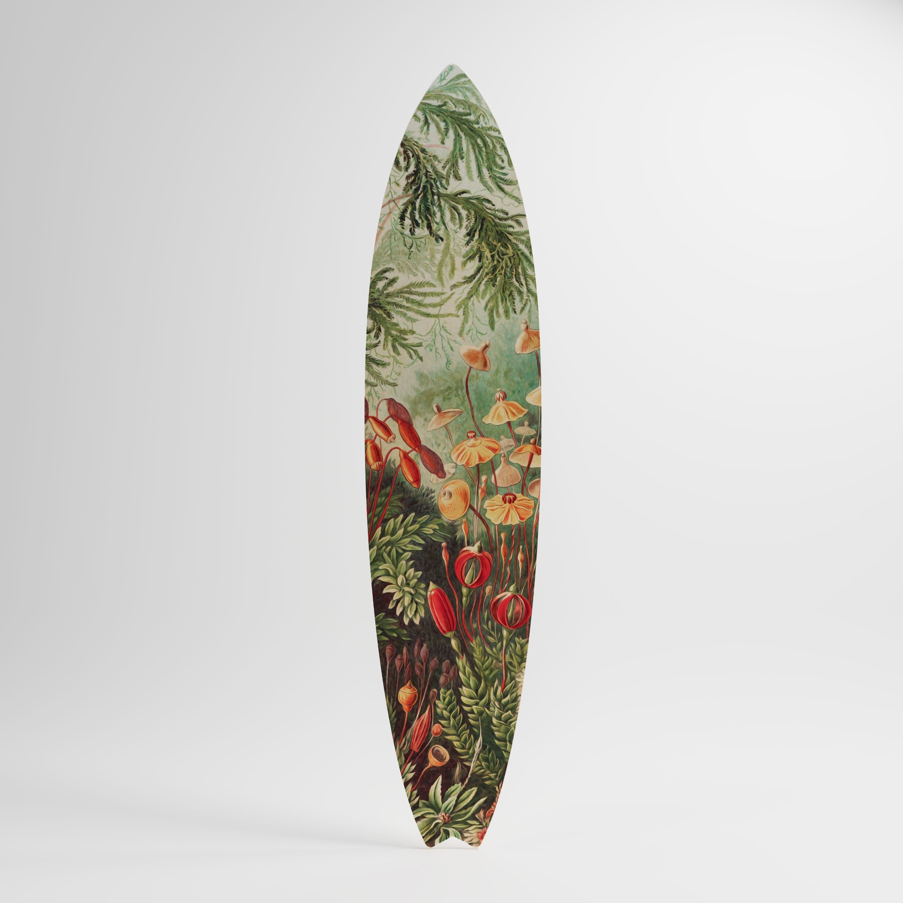 MUSCINAE LAUBMOOSE Surfboard Decorative Panel