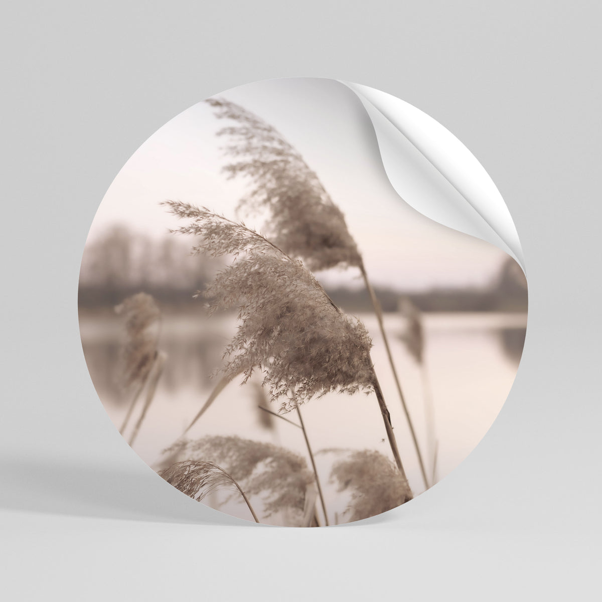 GENTLE BREEZE Vinilo adhesivo redondo