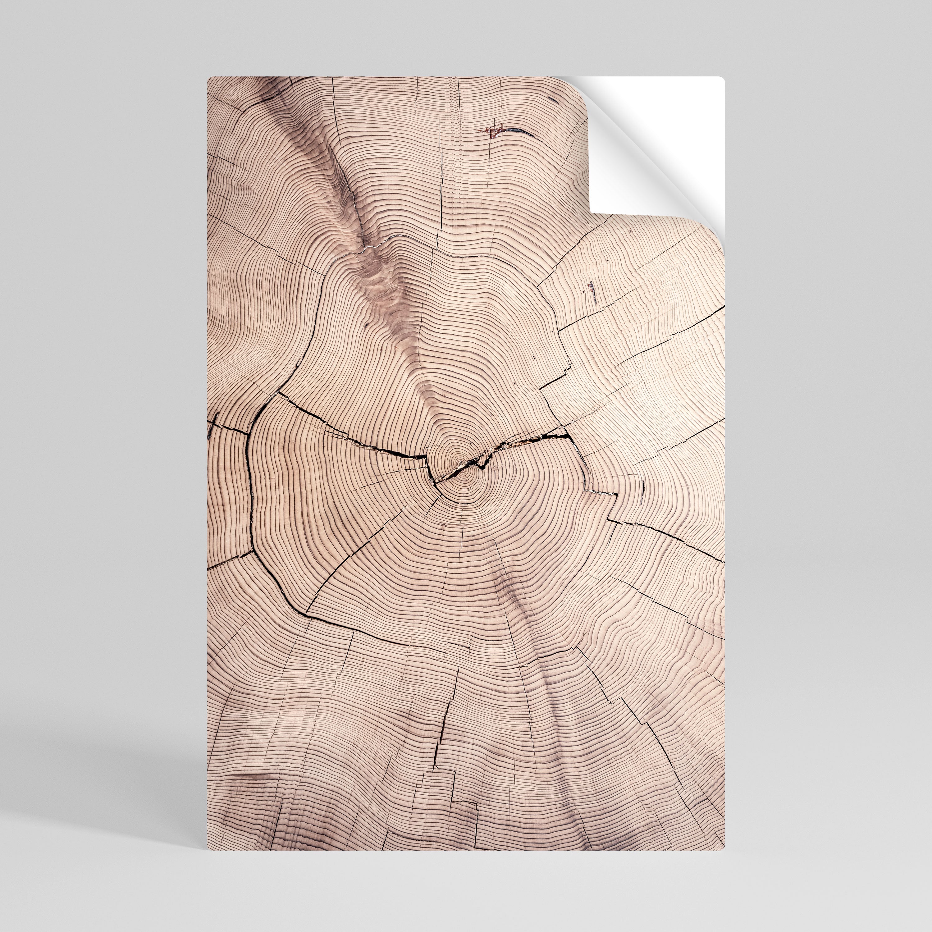 TIMEWORN RHYTHM Självhäftande Vertikal Poster