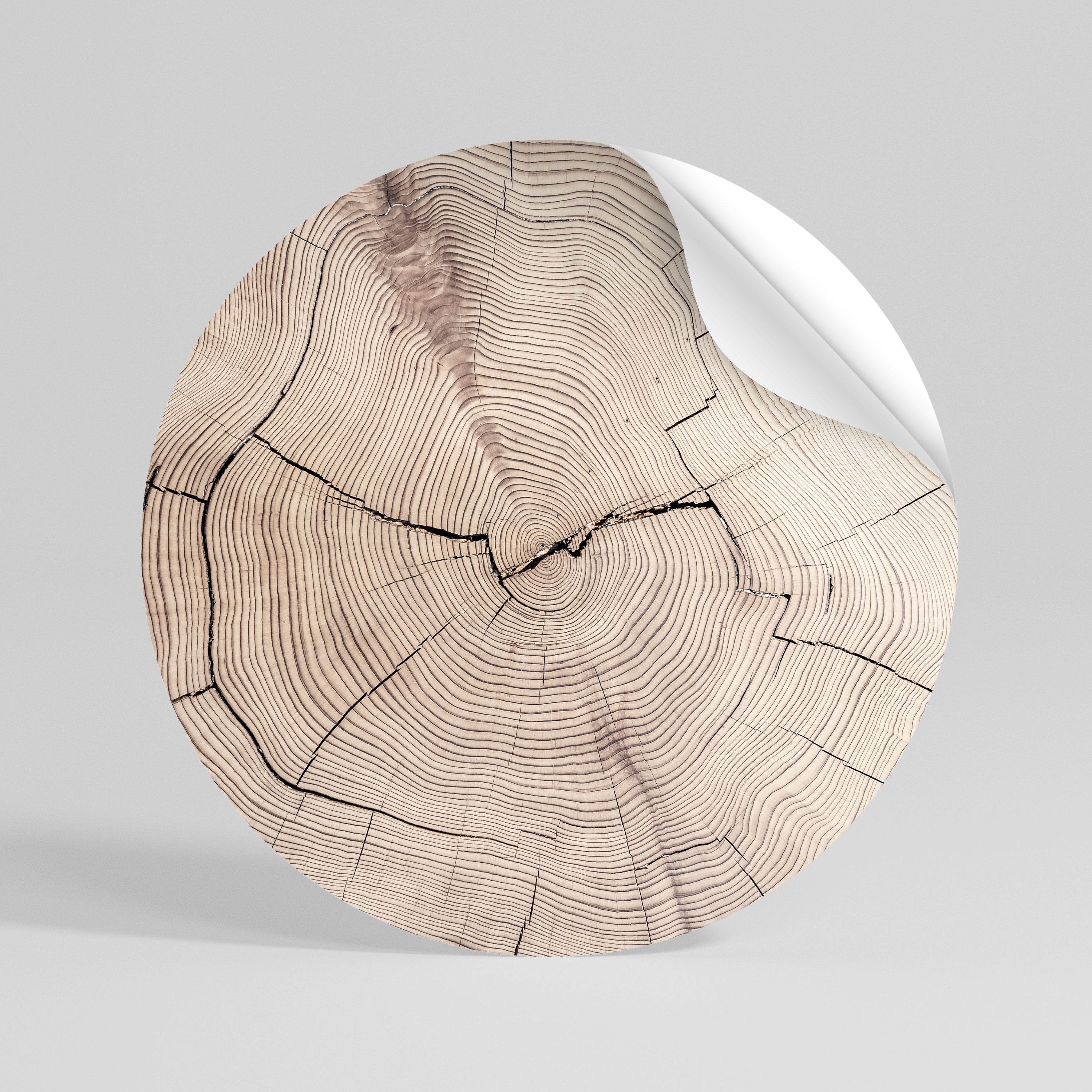 TIMEWORN RHYTHM Rund väggdekal