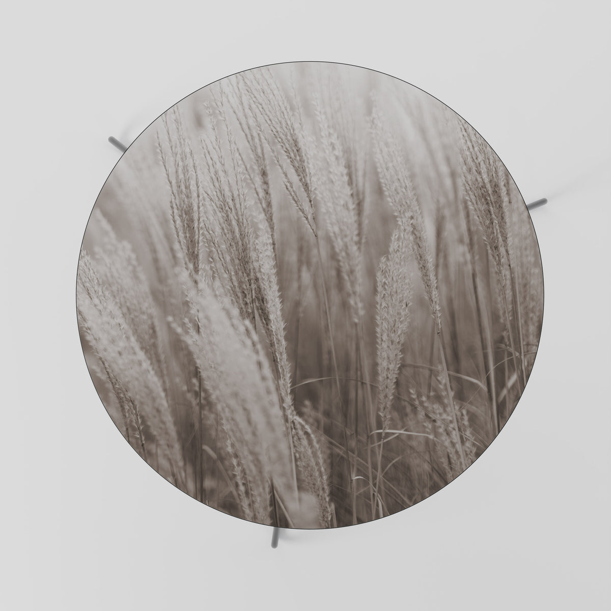 WHISPERS OF GRASS Couchtisch