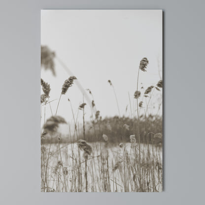TIMELESS TUSSOCKS Cuadro en lienzo vertical
