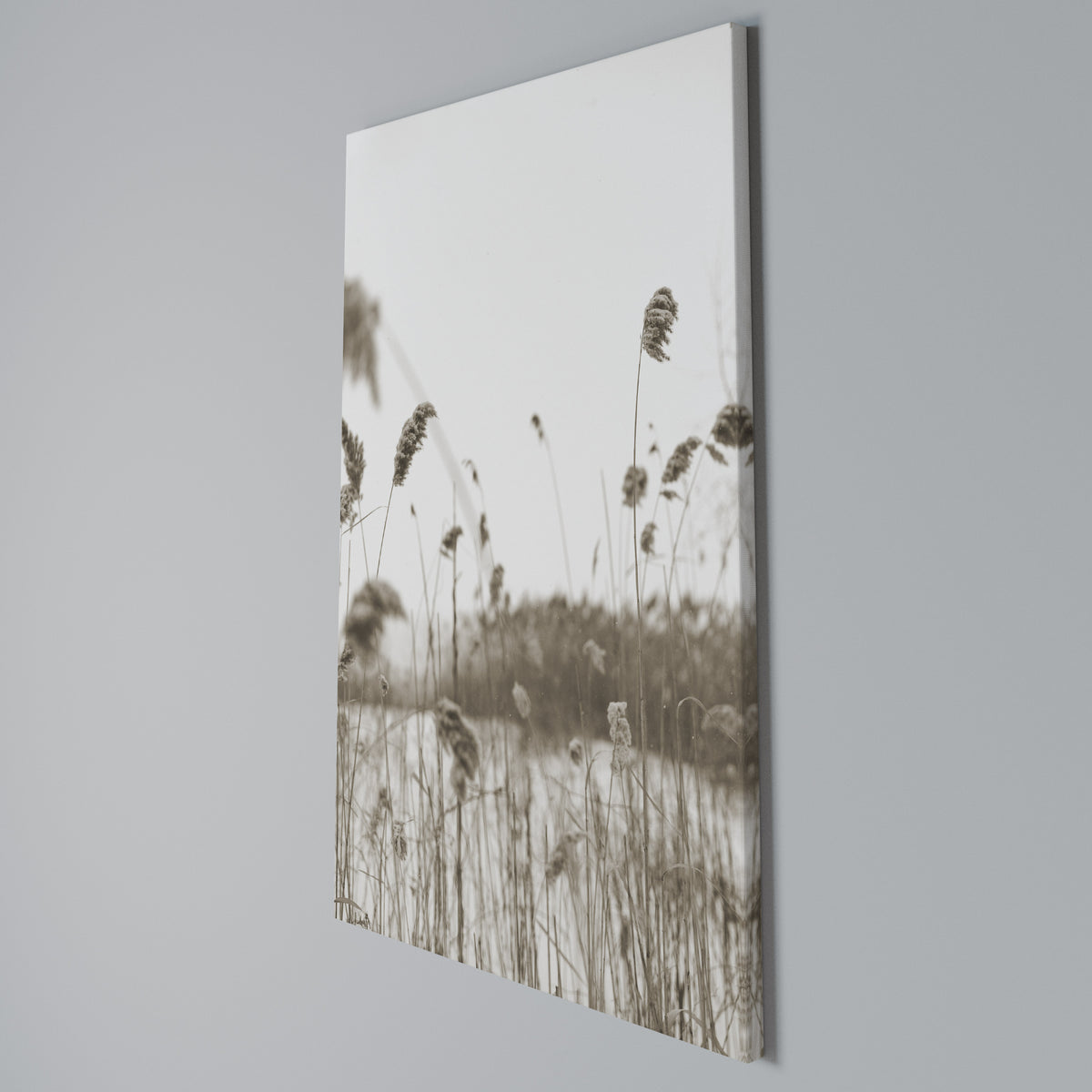 TIMELESS TUSSOCKS Vertical Canvas Print