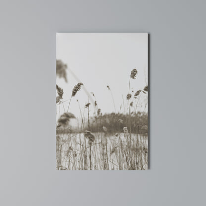 TIMELESS TUSSOCKS Cuadro en lienzo vertical