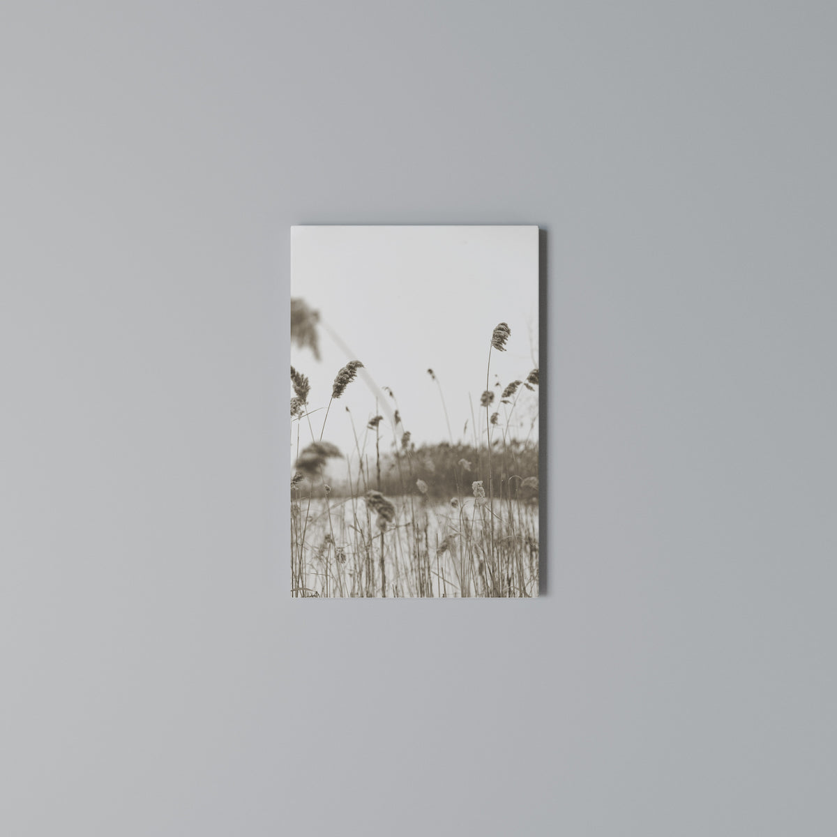 TIMELESS TUSSOCKS Vertical Canvas Print