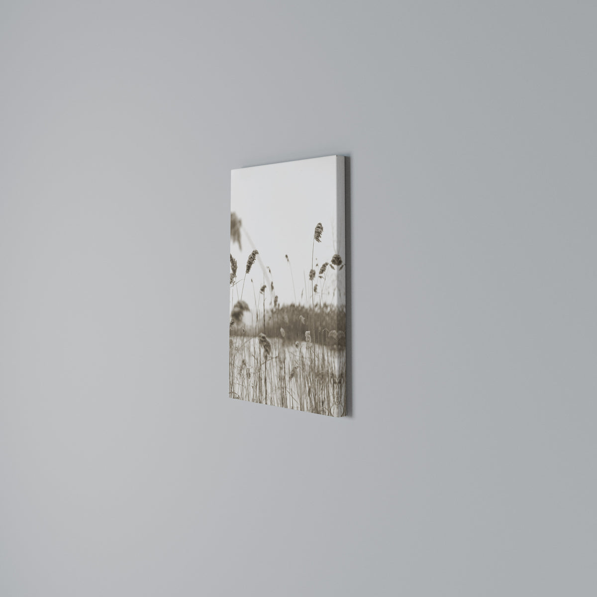 TIMELESS TUSSOCKS Vertical Canvas Print