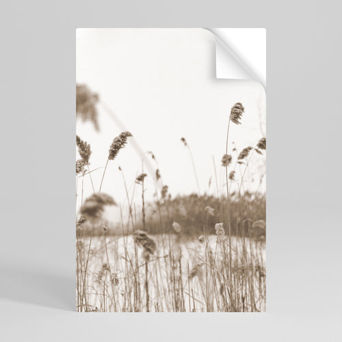 TIMELESS TUSSOCKS Poster Verticale Adesivo