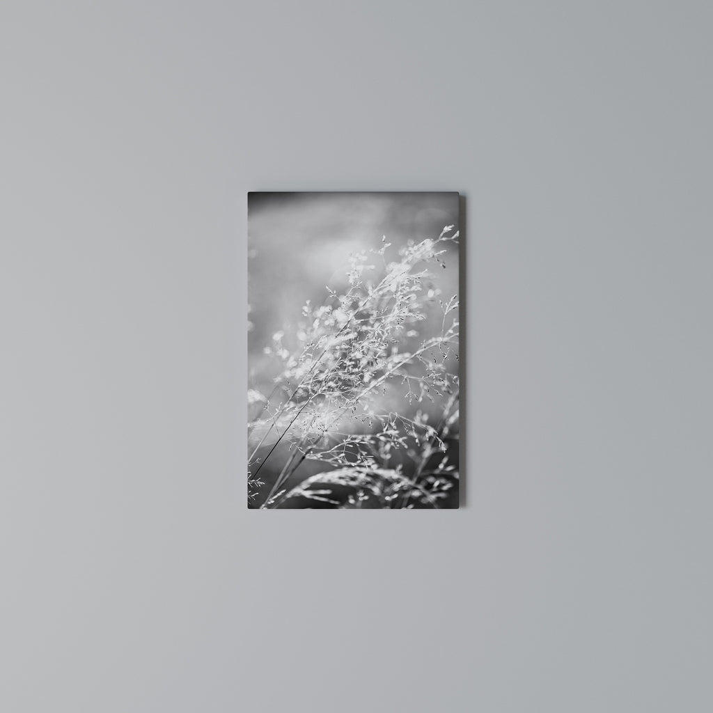 LIGHTSWEPT HARMONY Vertical Canvas Print