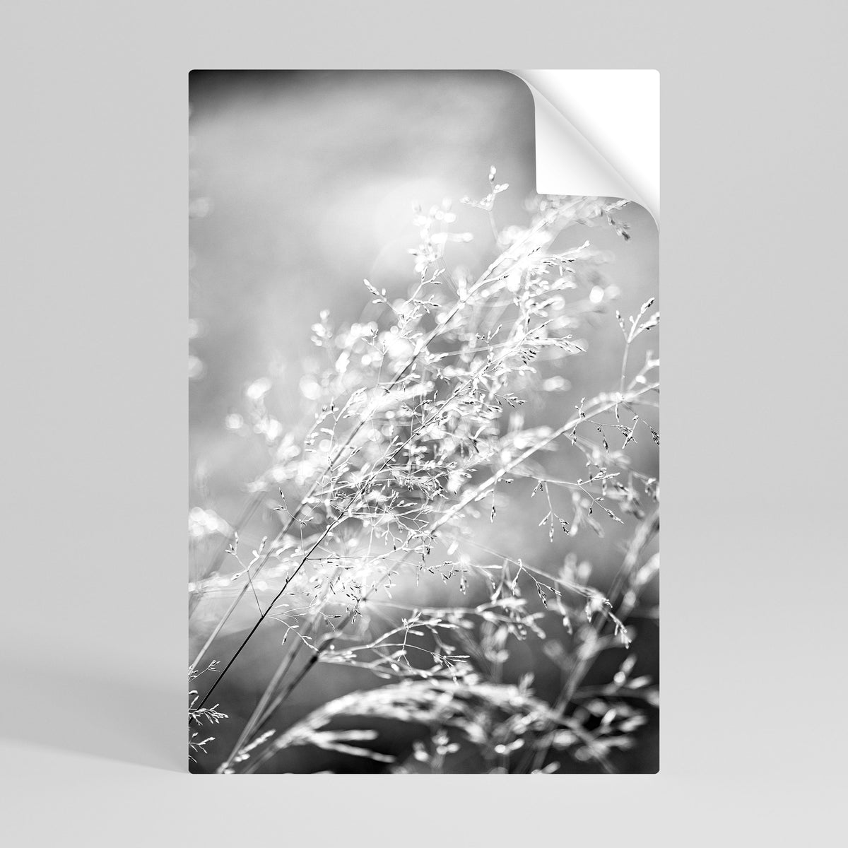 LIGHTSWEPT HARMONY Póster adhesivo vertical