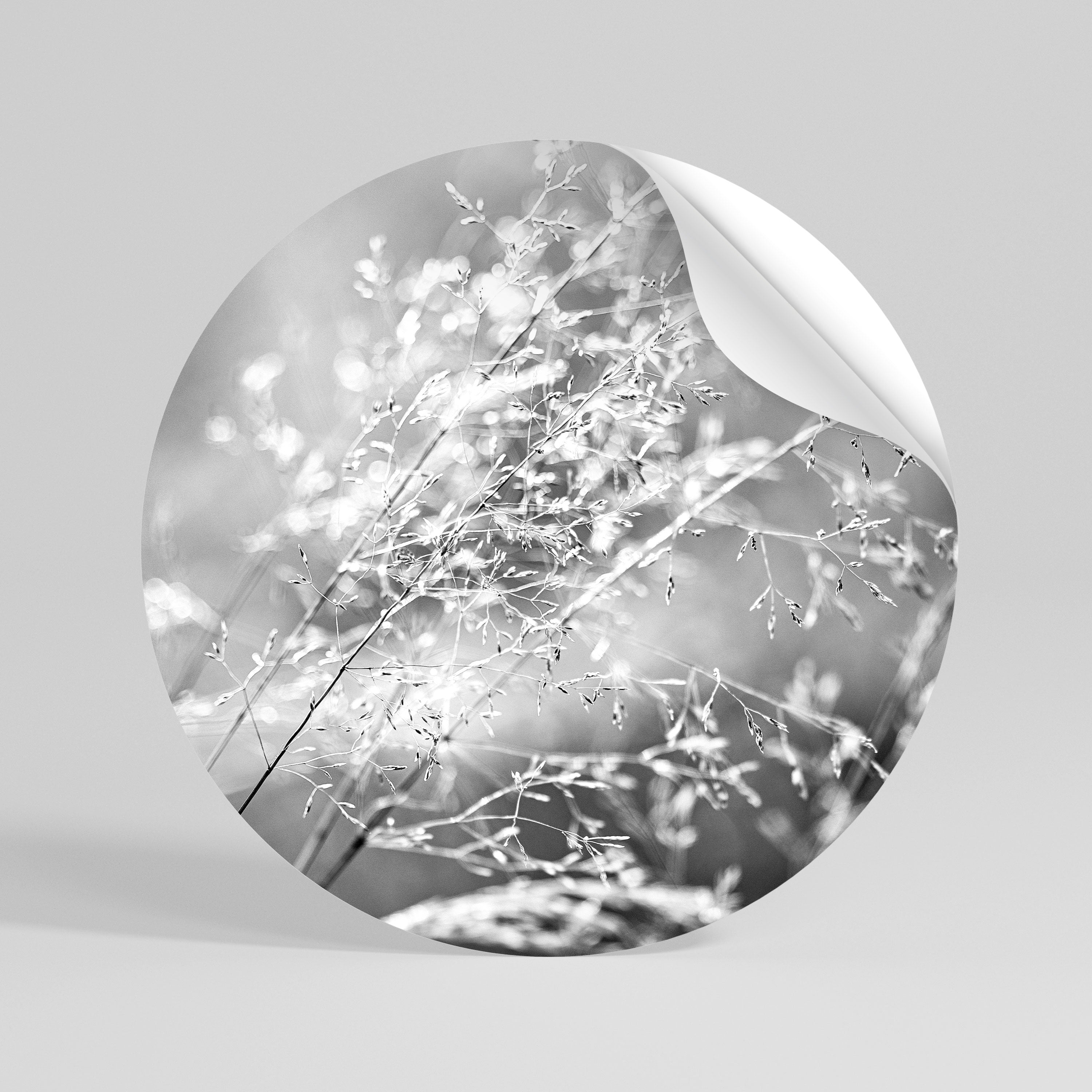 LIGHTSWEPT HARMONY Rund väggdekal