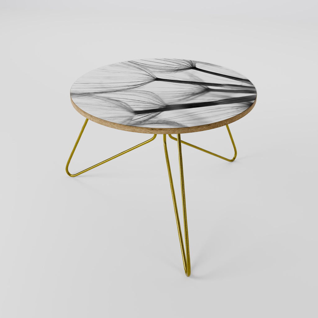 SILKEN FLIGHT Coffee Table