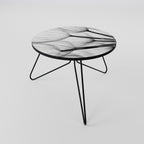 SILKEN FLIGHT Coffee Table