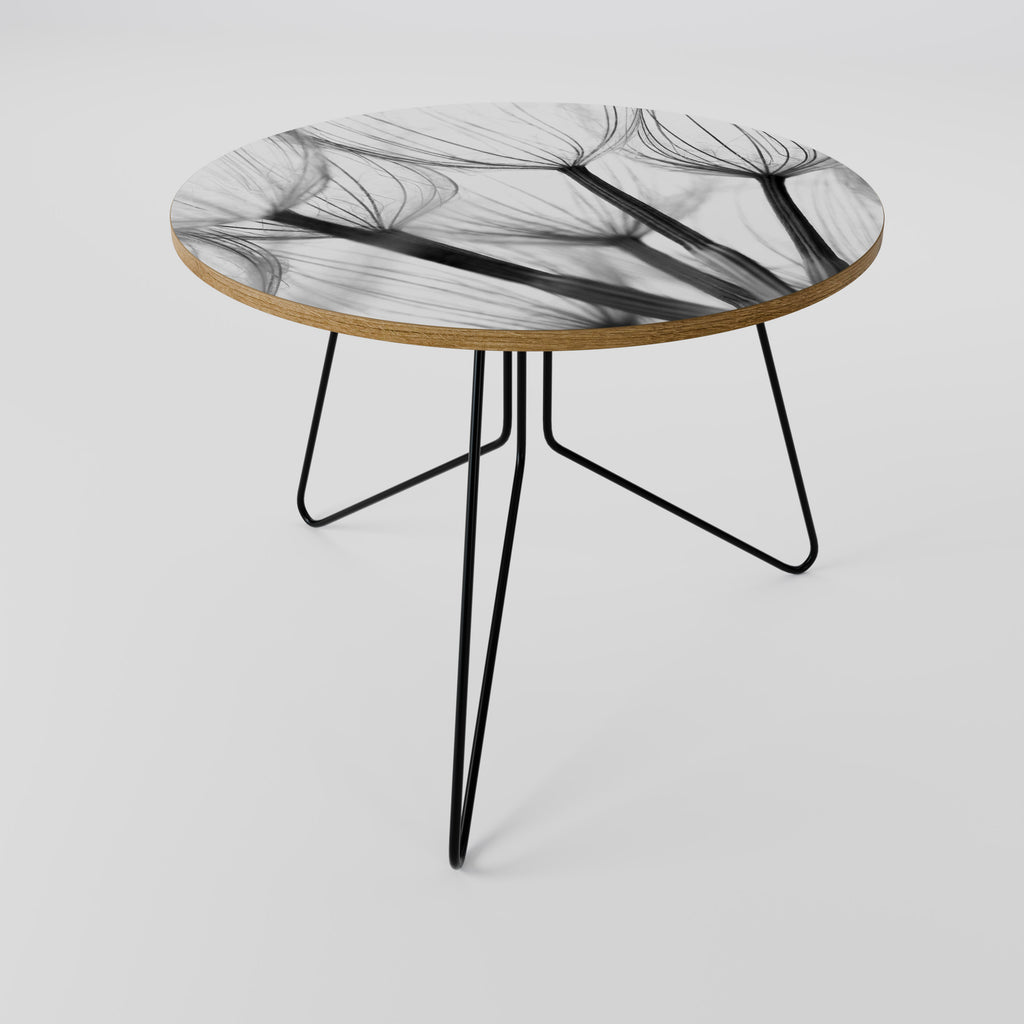 SILKEN FLIGHT Coffee Table