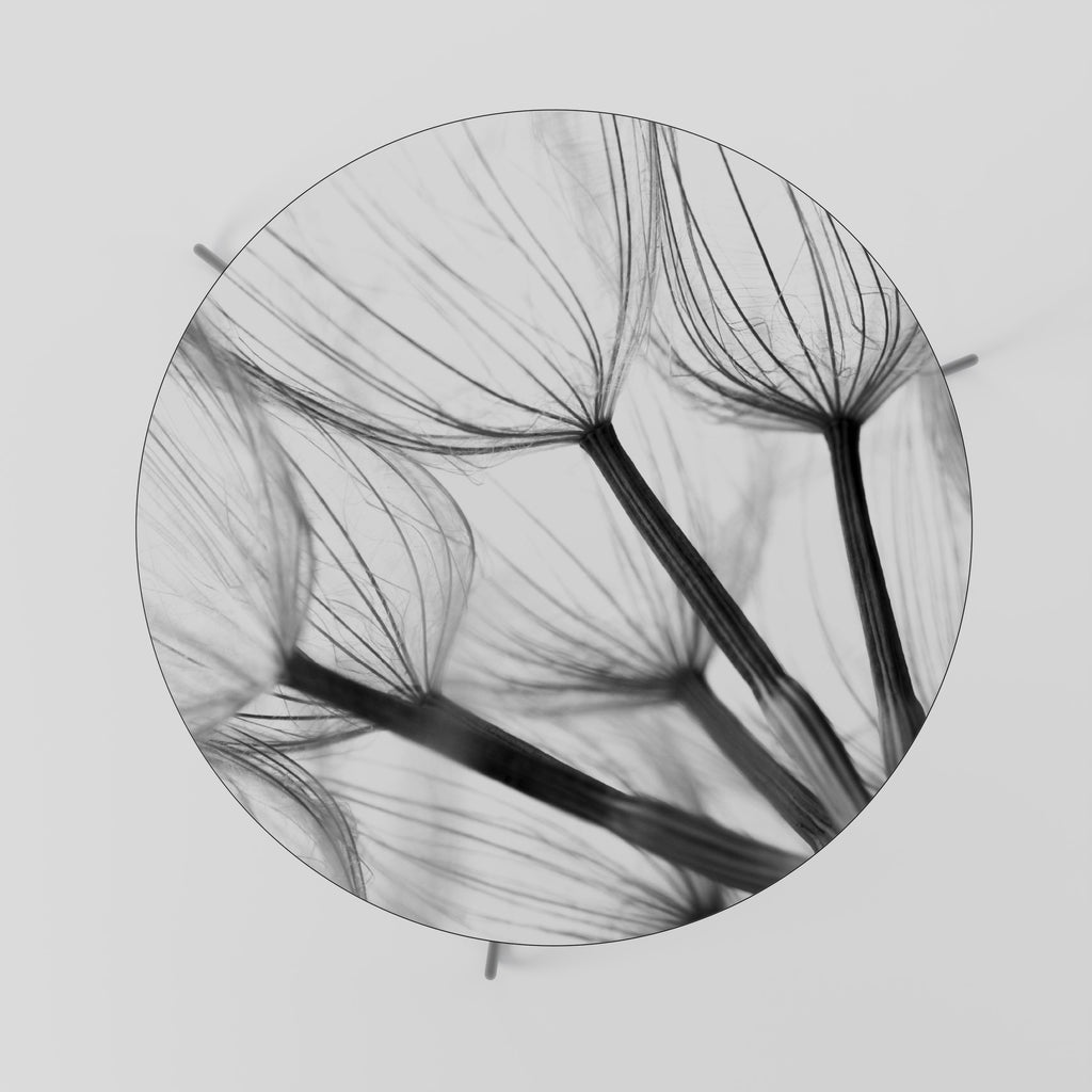 SILKEN FLIGHT Coffee Table