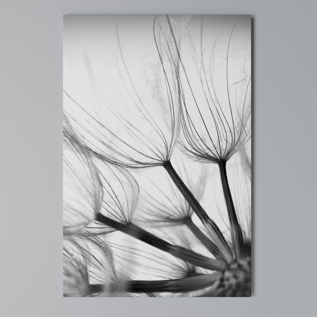 SILKEN FLIGHT Quadro em tela vertical