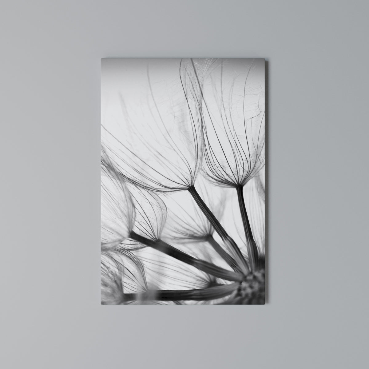 SILKEN FLIGHT Quadro em tela vertical