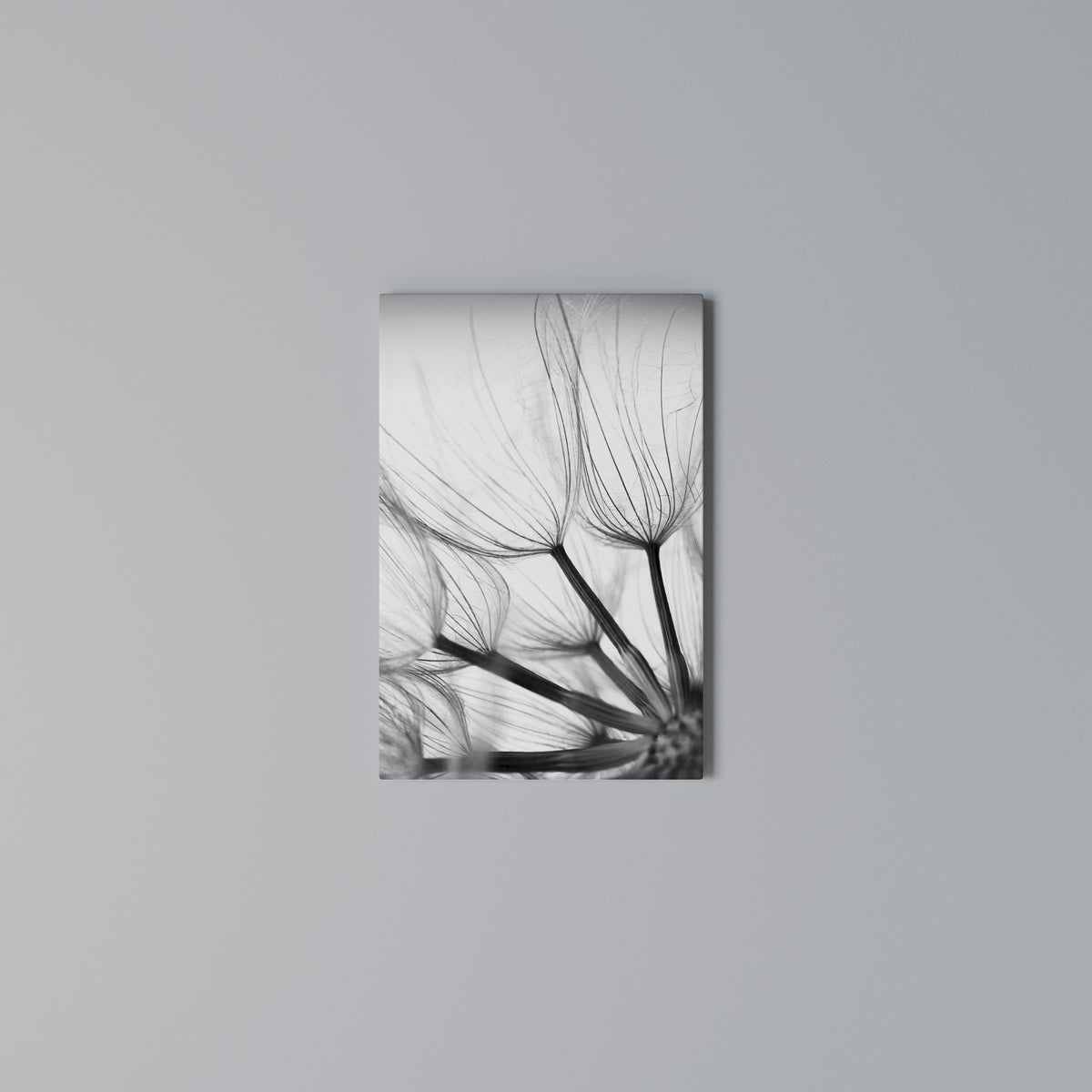 SILKEN FLIGHT Quadro em tela vertical